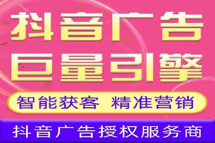 某企业通过SEO和SEM双管齐下实现业绩飞跃的案例